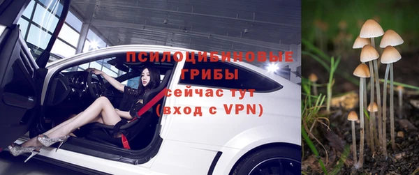 молекула духа Алексеевка