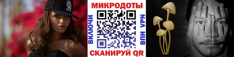 цена наркотик  Оса  Галлюциногенные грибы Psilocybe 