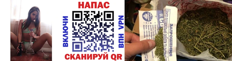 Бошки Шишки VHQ  Оса 